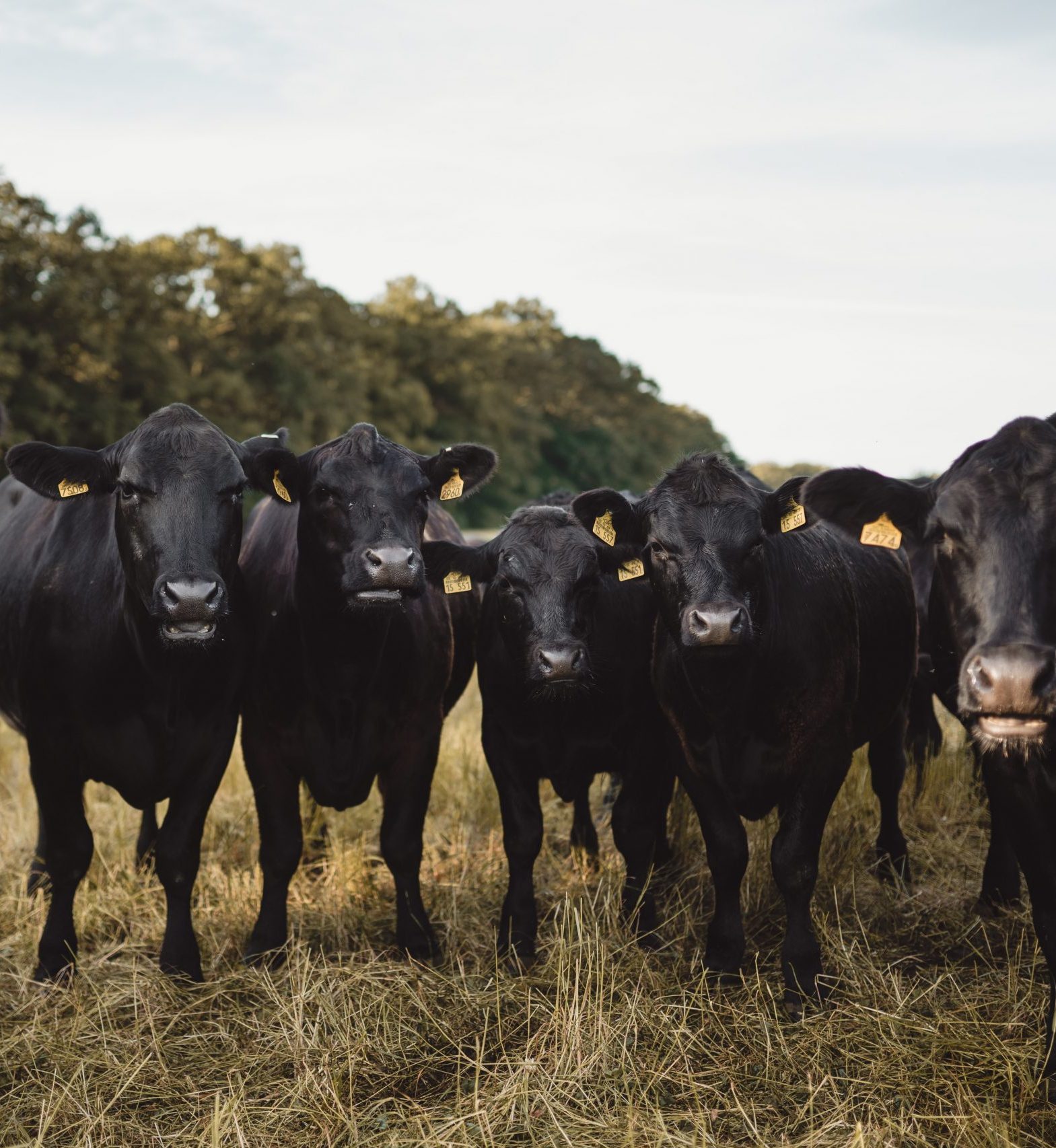Mitarbeiter Gut&Boesel