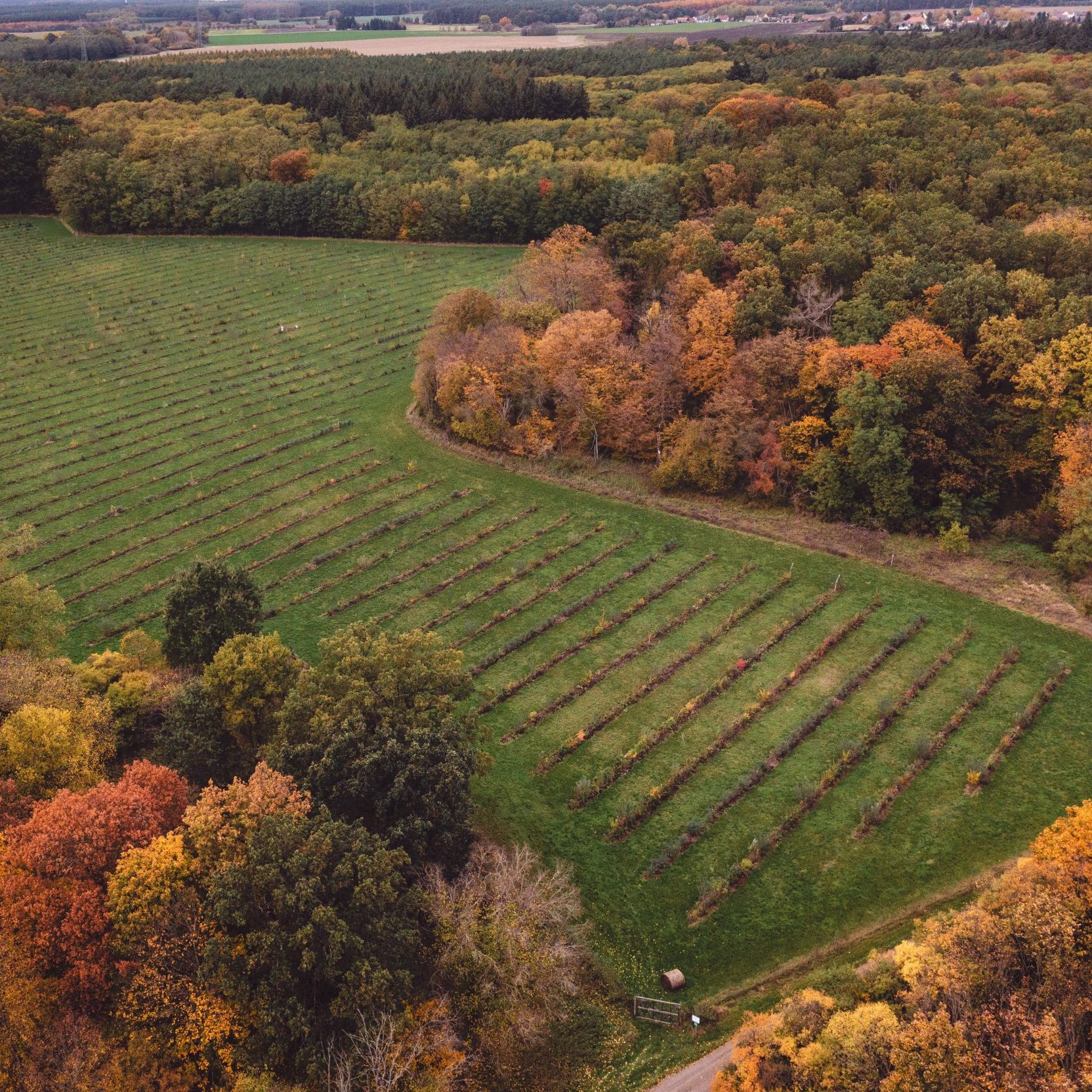 06997A98-9120-46E9-8A49-1039AC655631